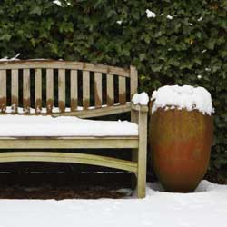 Winter plant protection using anti-desiccant