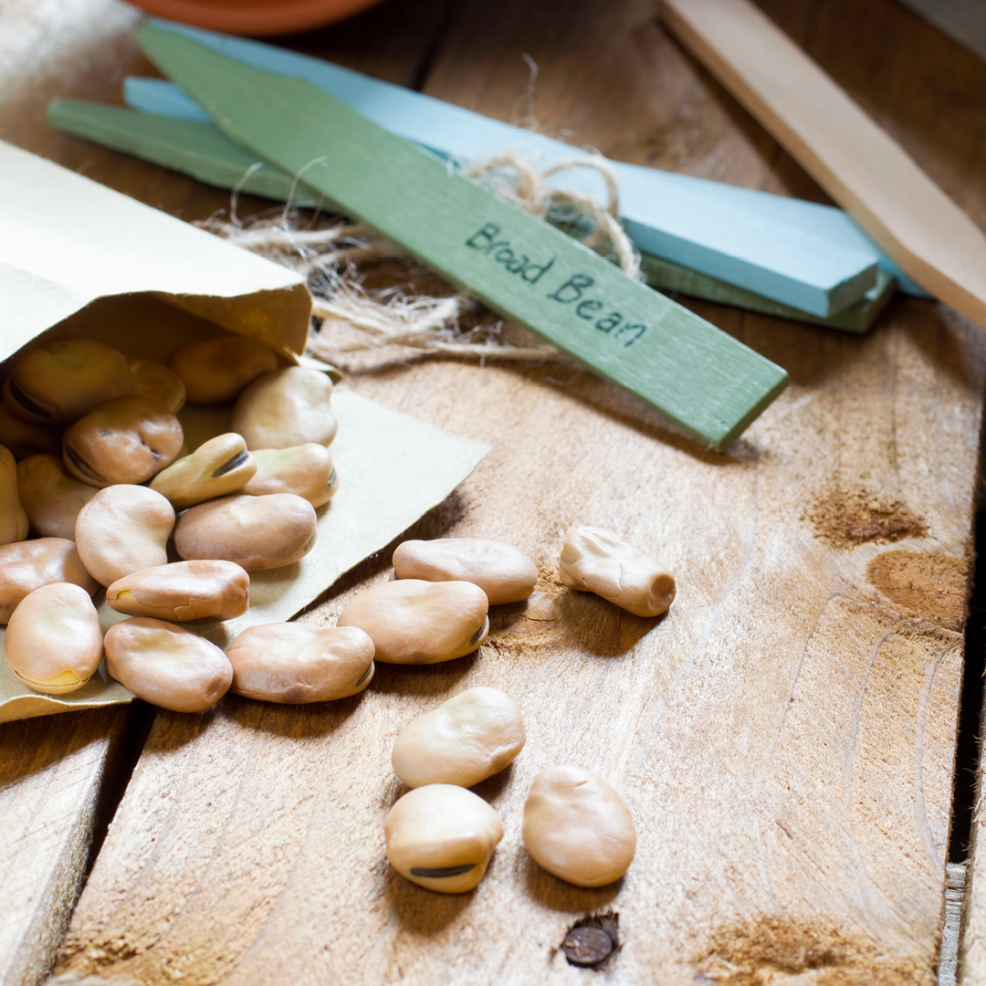 Seed viability chart example