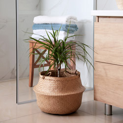 Indoor plant light adjustment in winter